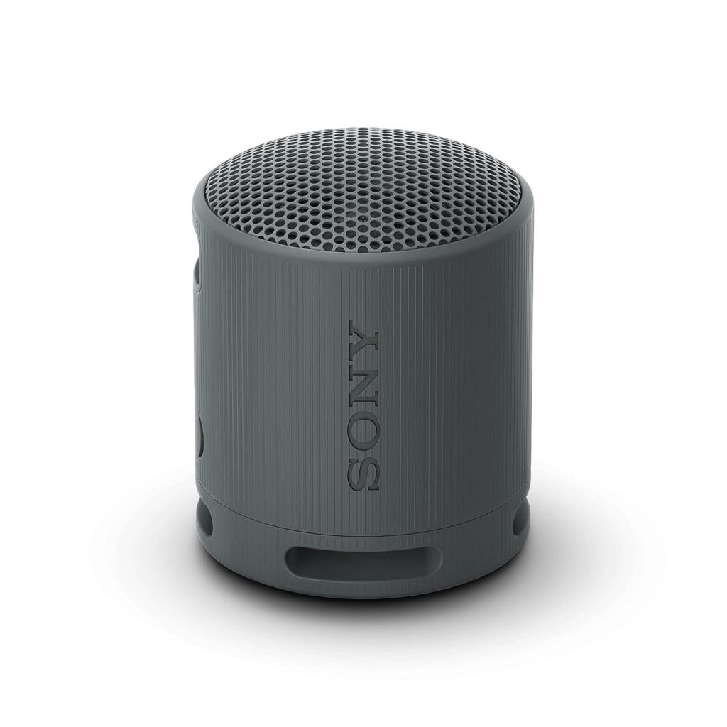 Sony SRS-XB100 Wireless Bluetooth Portable Speaker